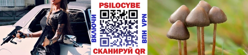 продажа наркотиков кракен ССЫЛКА Галлюциногенные грибы Psilocybe Орехово-Зуево