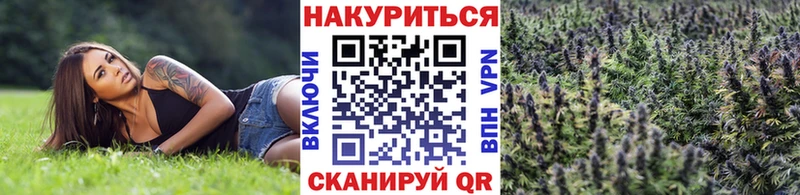 МАРИХУАНА OG Kush Орехово-Зуево
